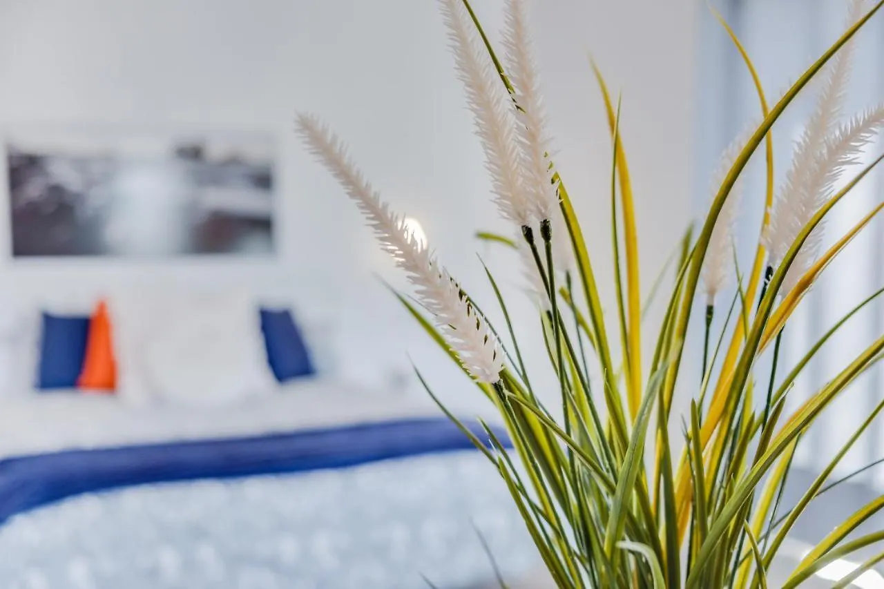 Casa Aloe Villa Arona